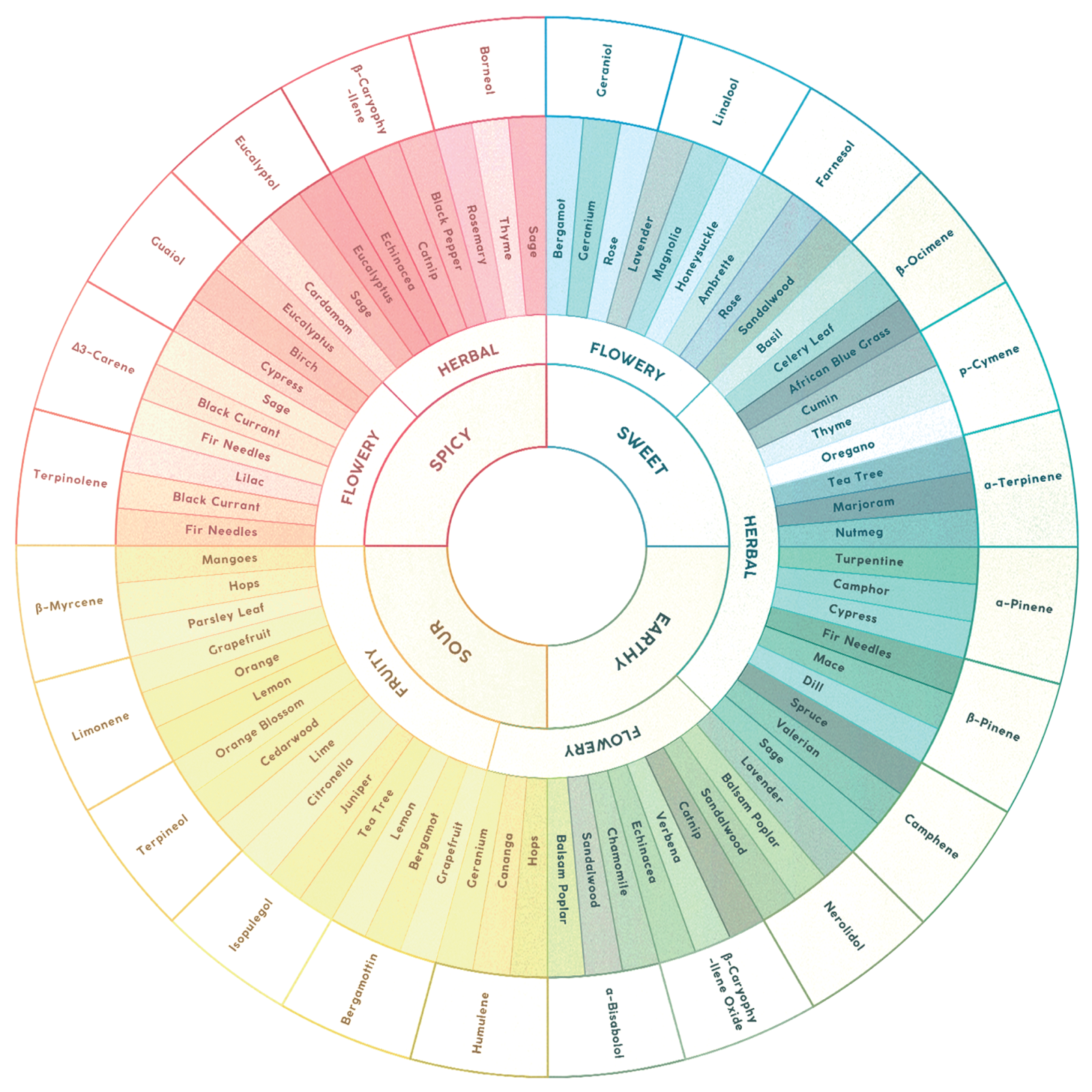 Cannabis Terpene Flavor wheel