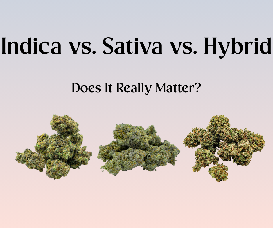 Indica vs. Sativa vs. Hybrid