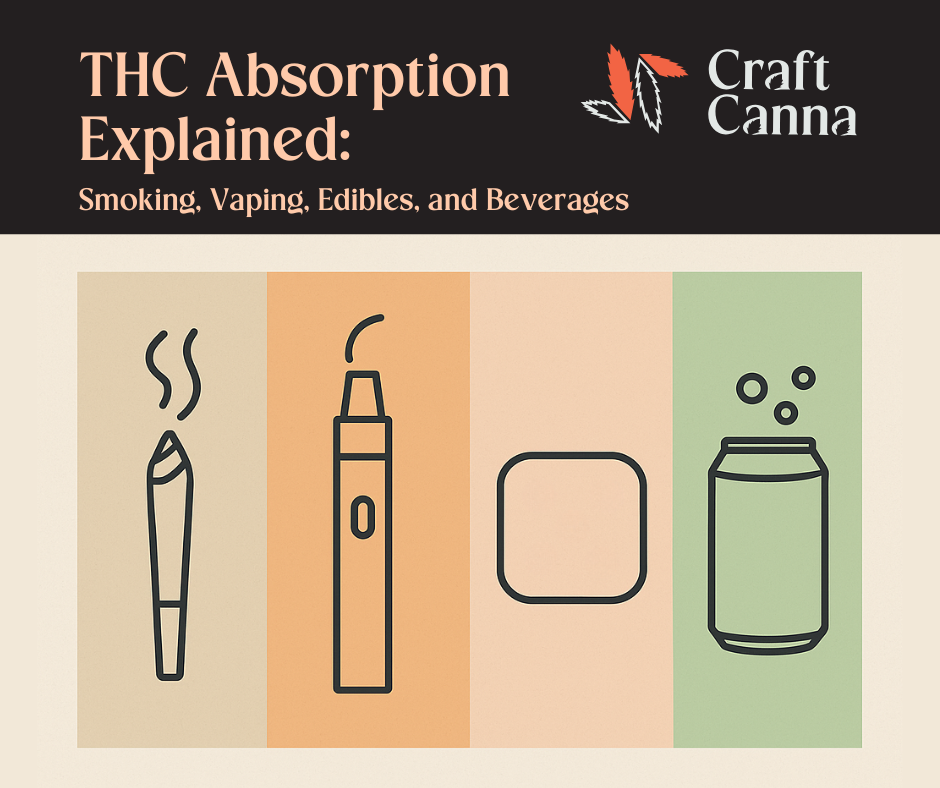 Graphic titled ‘THC Absorption Explained’ with CraftCanna branding, displaying minimalist icons of a pre roll, vape pen, edible gummy, and THC beverage against colored vertical panels.